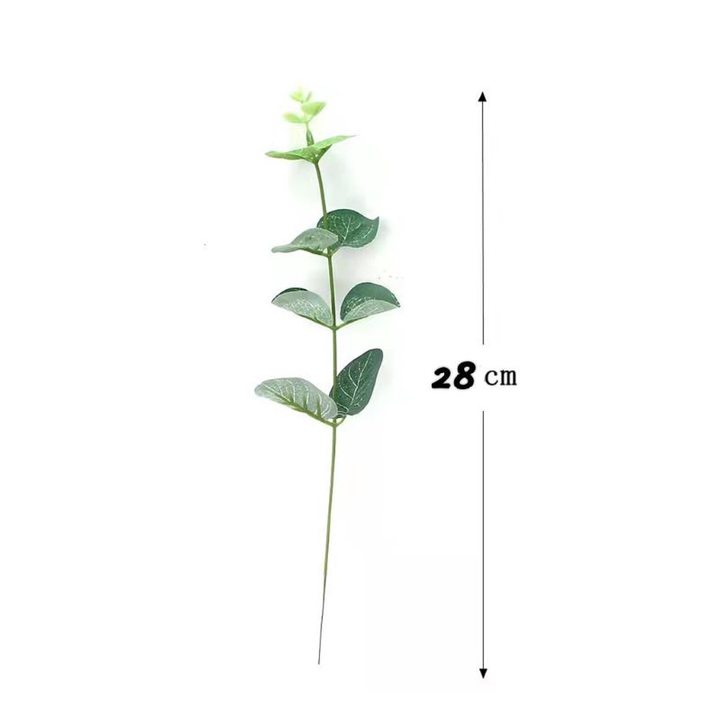 Daun dollar buket / daun dollar artificial