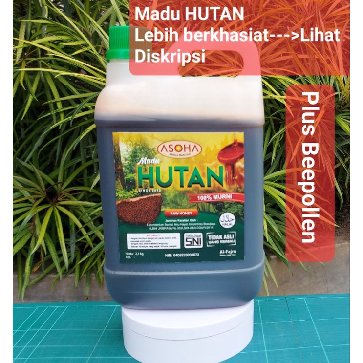 

Madu Hutan Asli dari Sumatera 2kg Raw Honey No Tipu-Tipu tdk kristal dikulkas