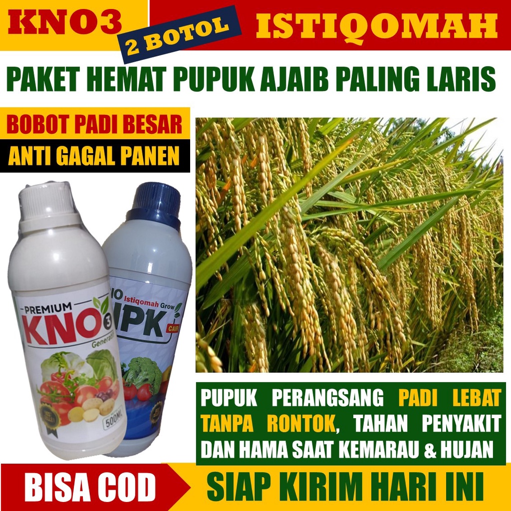 PAKET 2 BOTOL BIO ISTIQOMAH & KNO3 PREMIUM OBAT PELEBAT ANAKAN PADI Lebih Banyak Tanpa Hama Dan Peny