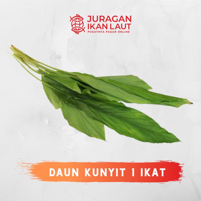 

Daun Kunyit Segar Berkualitas - 1 Ikat