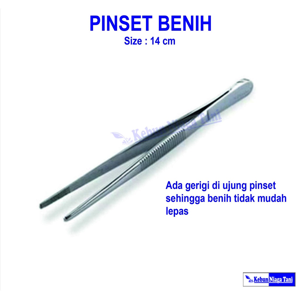 Pinset benih - pinset anatomis