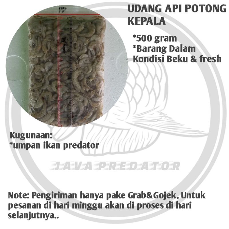 

udang api potong kepala size sedang