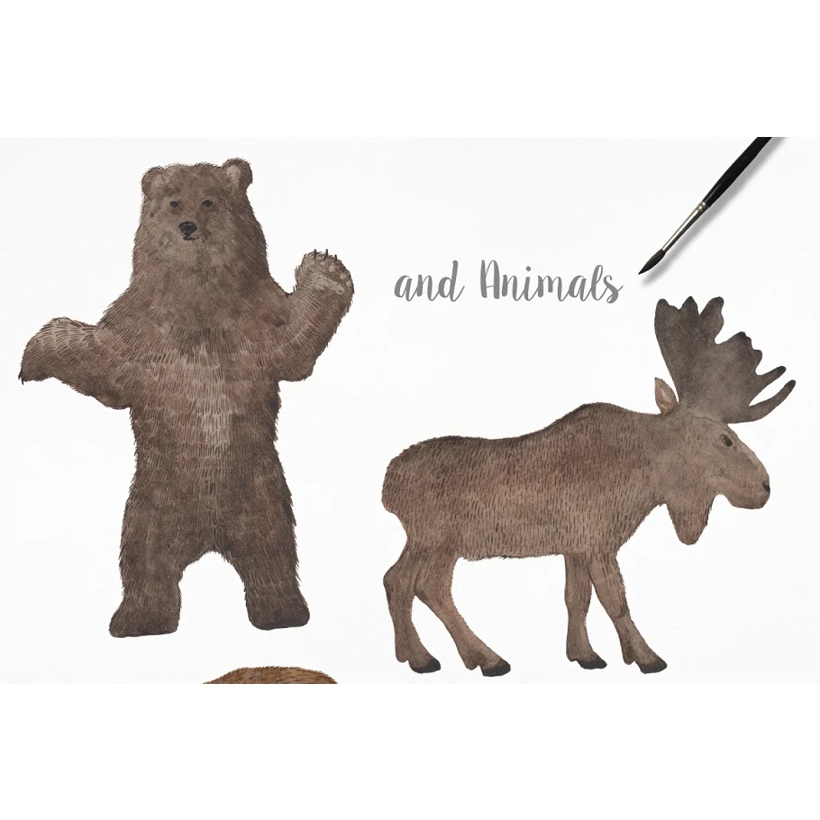 Watercolor frames, patterns, animals