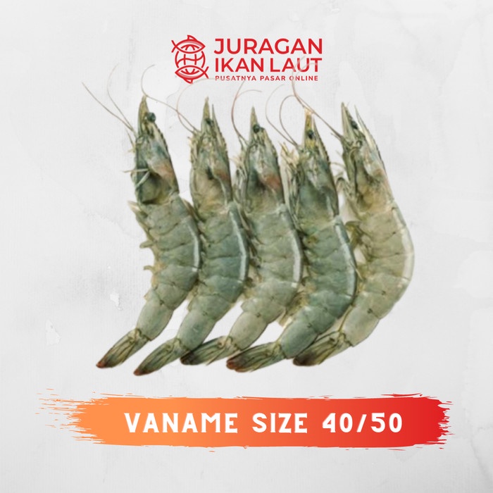 

Udang Vaname Segar Fresh Size 40/50 - 1 Kilogram