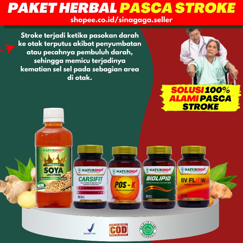 Paket Obat Herbal Pasca Stroke Ampuh Obat Herbal Setrok Lumpuh Separuh Kaki Tangan Kaku Mati Rasa Ob