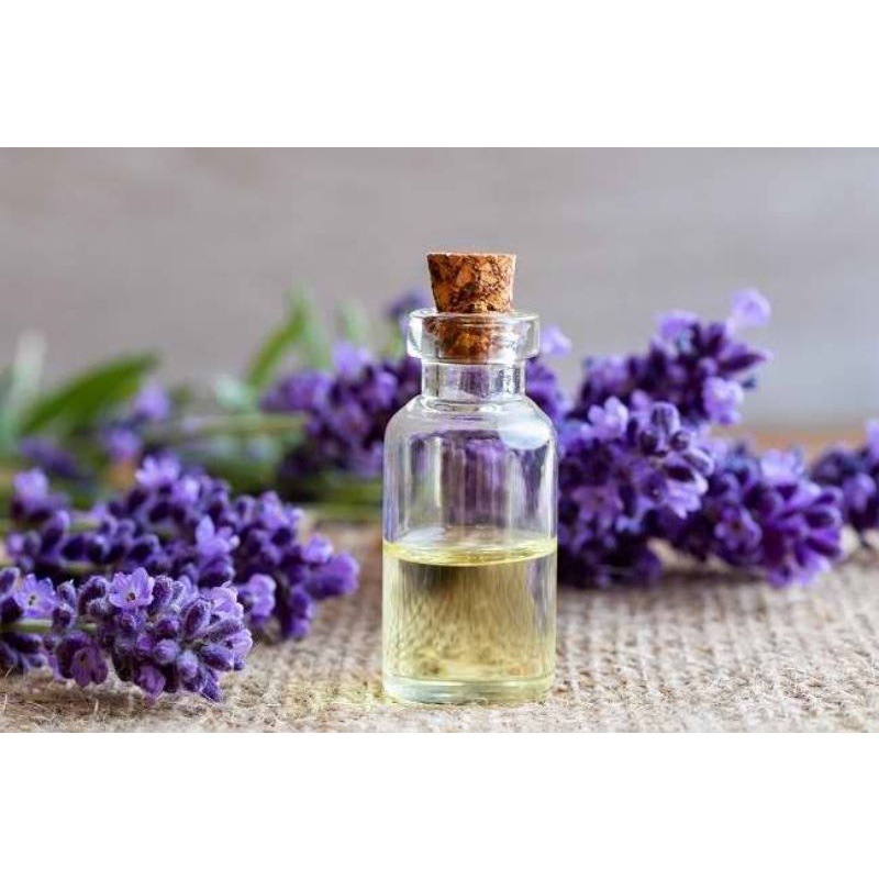 Lavender essential oil 1 liter Carrier oil Cold pressed Cosmetic grade Organic
