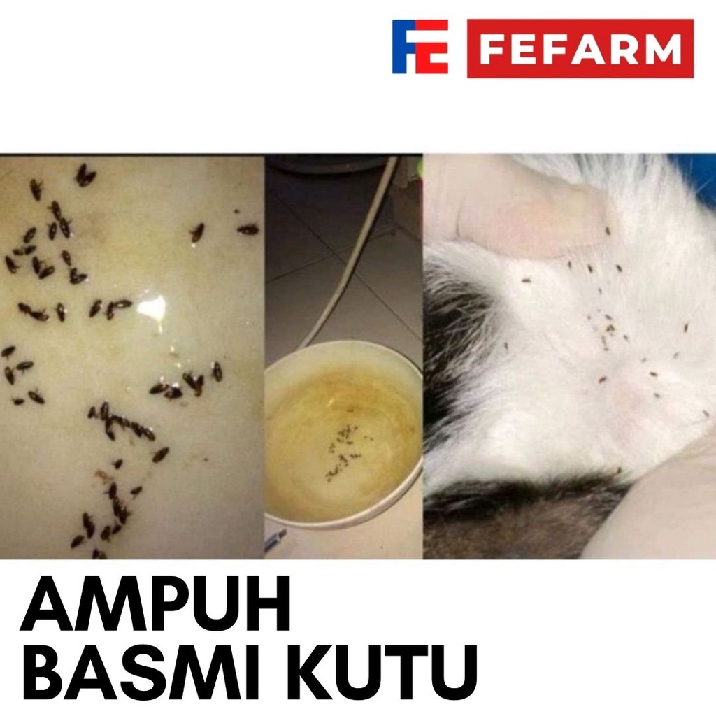 Shampo Kucing Anti Kutu Shampoo Cat Kitten Flea Tick CATSHAMP FEFARM