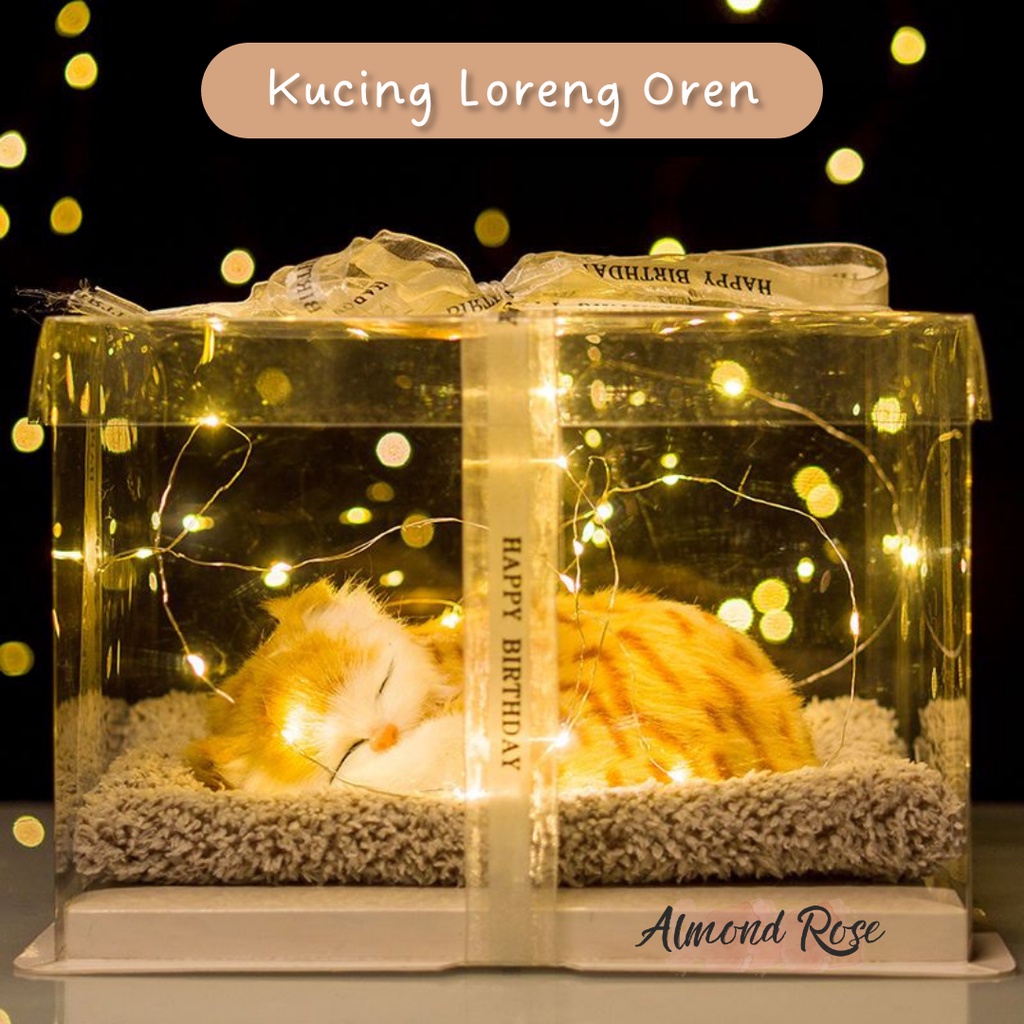 KUCING LORENG OREN - Hampers Boneka Tidur kado cewe kado pacar hadiah kado boneka kucing kucing aran