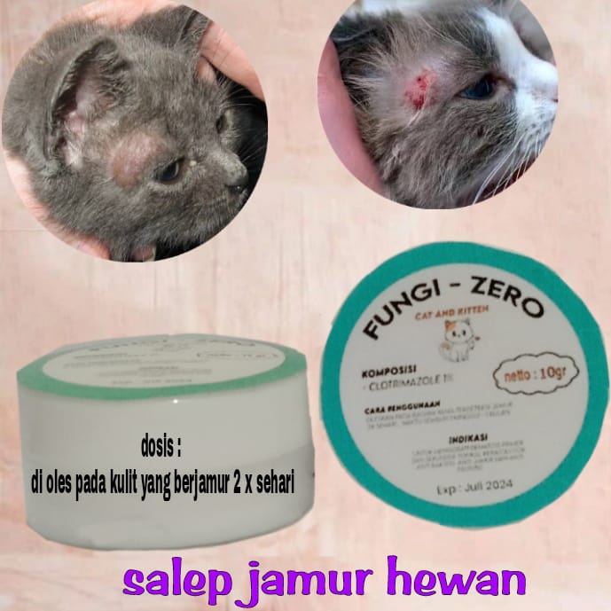Obat salep jamur kucing ampuh /salep luka jamur/salep jamur scabies kucing