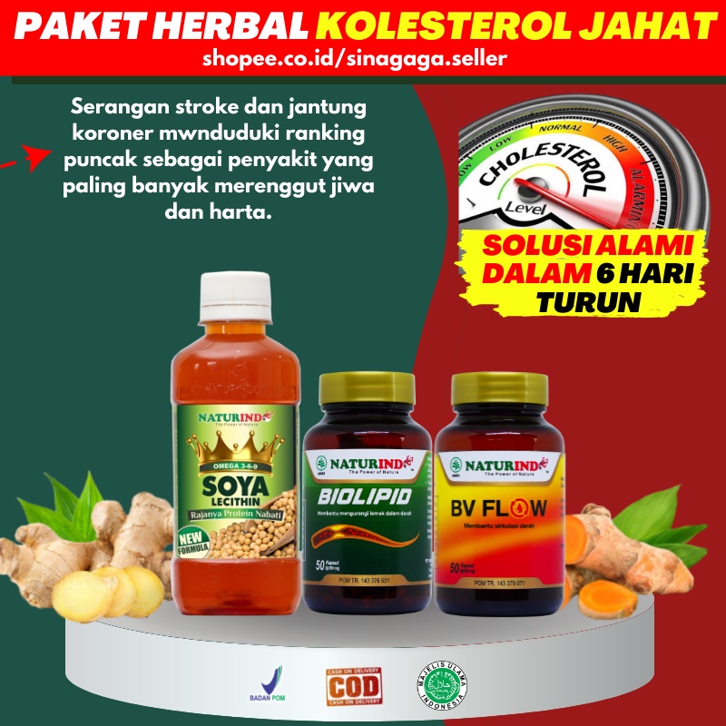 Paket Obat Herbal Penurun Kolesterol Alami Ampuh dan Asam Urat Jamu Sehat Herbal Pelancar Darah Keba