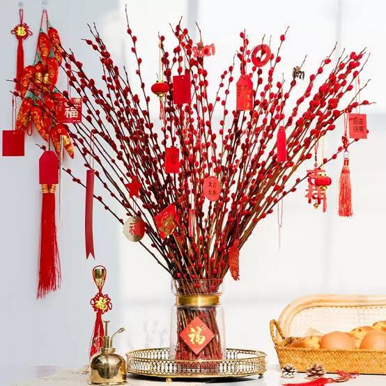 BEST QUALITY (9pcs) Dried Pussy Willow Bunga Imlek 2023 Dekorasi Happy Chinese New Year Decoration CNY Bunga Kering Bunga Asli Dekorasi Hiasan Pajangan Imlek Dekor