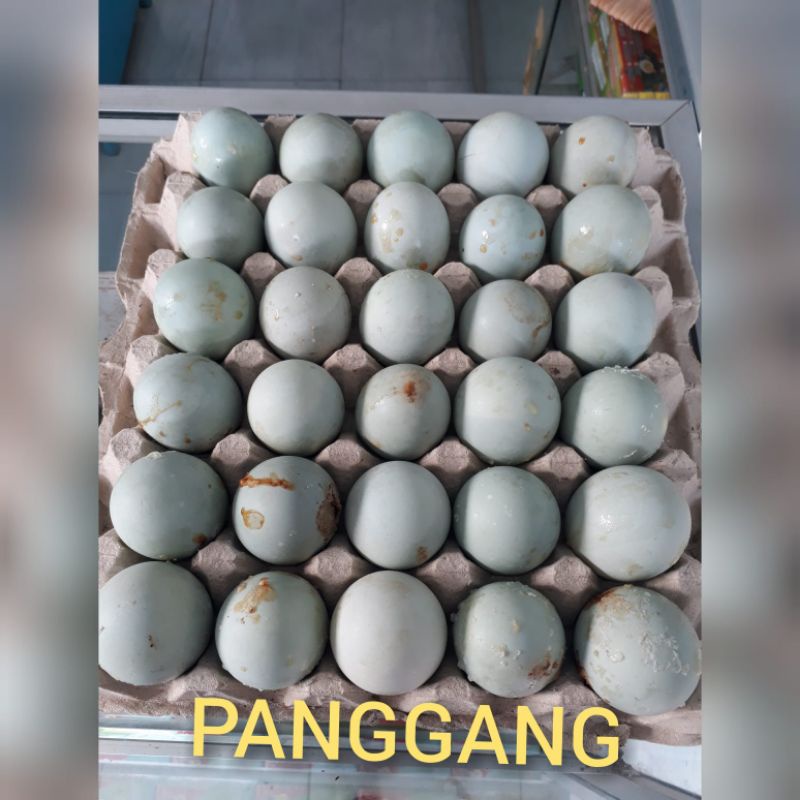 

TELOR ASIN BREBES @1 Rp.3.900 REBUS+BAKAR+PANGGANG