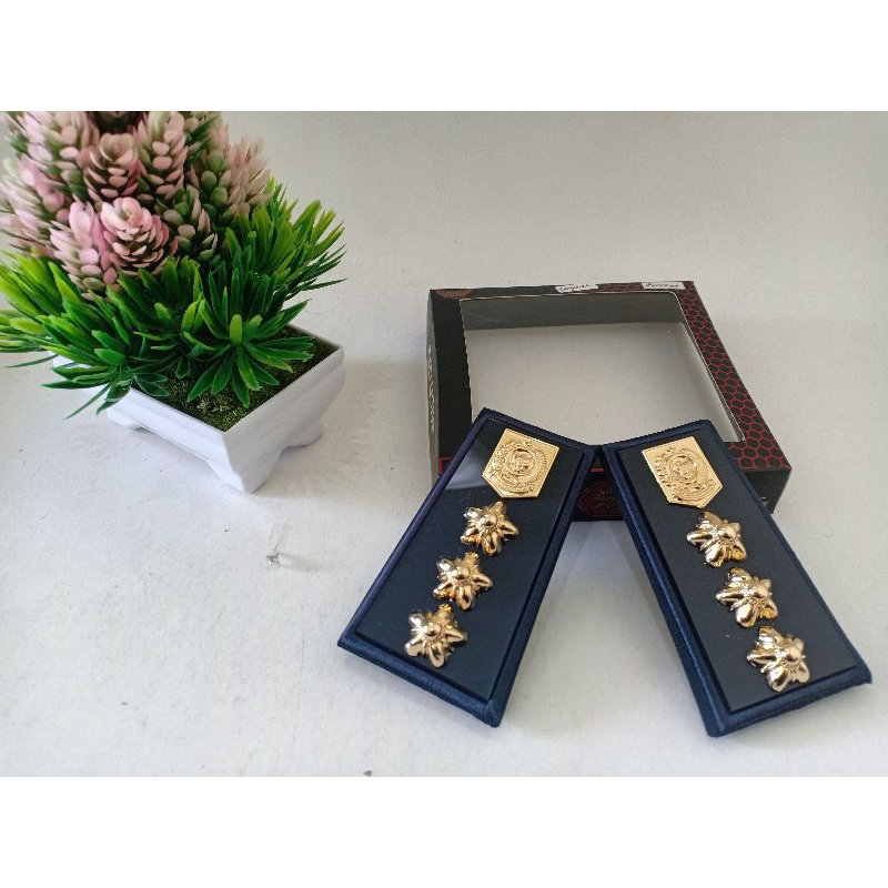 Pangkat Pdh Camat_Tanjab Camat kecil magnet