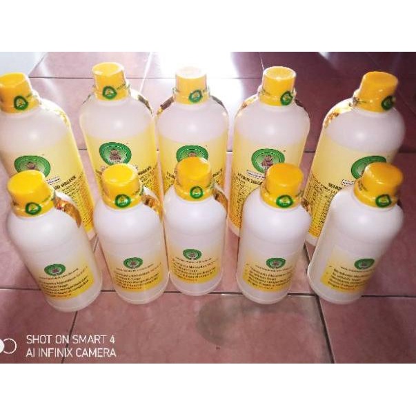 Stok Terbatas Nutrisi Tauge Pupuk Toge Sumo Paket A dan B Obat Tauge Toge