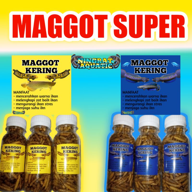 MAGGOT SUPER ..KERING BERSIH 20 GRAM ..BOTOL KEMASAN 100ML