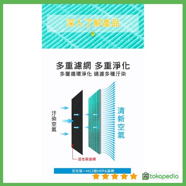 Detect Tb Coway The Ap 1009 Ch Ap 1010 Ap 1008 Hepa Filter Dengan 1 Pc