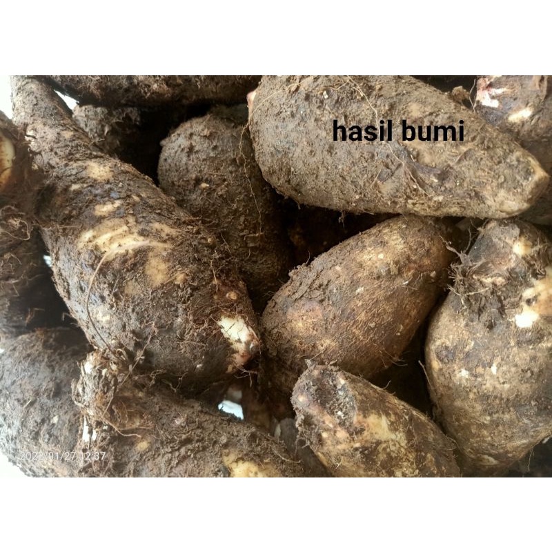 

READY Talas/entik/mbote 1kg