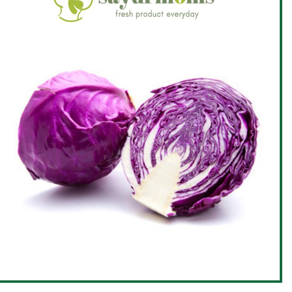 

TERPOPULER Kol Ungu 500 gram - 1 kg Surabaya 850