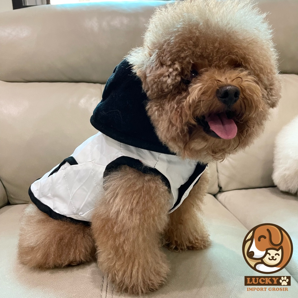 Baju Jaket Hoodie Vest Rompi Anjing Kucing Besar Kecil Murah Poodle Minipom