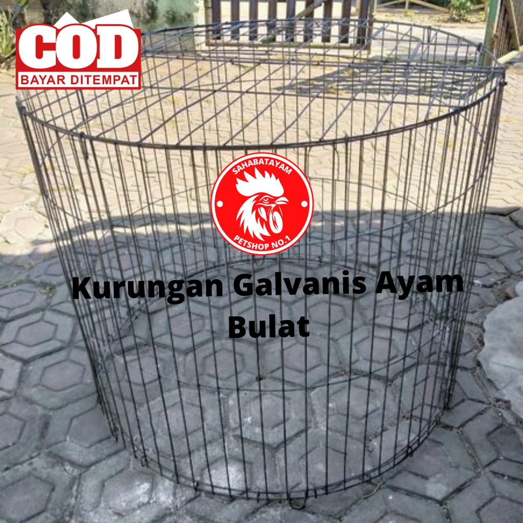 KURUNGAN GALVANIS BULAT D80 CM SIAP KIRIM KURUNGAN GALVANIS AYAM BENTUK BULAT KURUNGAN GALVANIS KURU