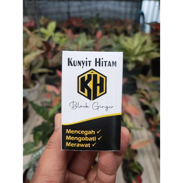 

Kunyit Hitam kapsul 400mg