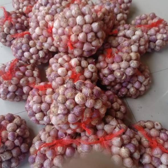 

~ Bawang putih tunggal/Lanang impor kemasan 100gr Update