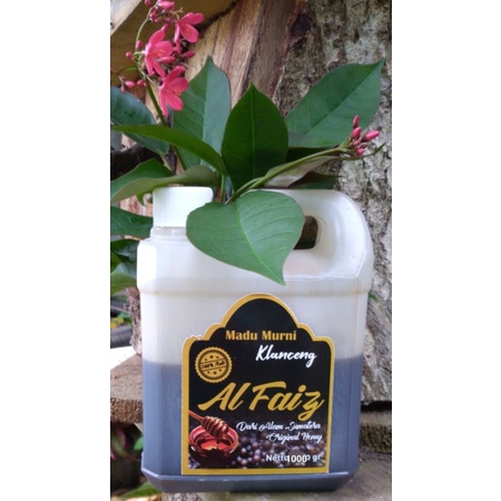 

madu klanceng asli, murni, alami dan tidak tetkontaminasi 100%