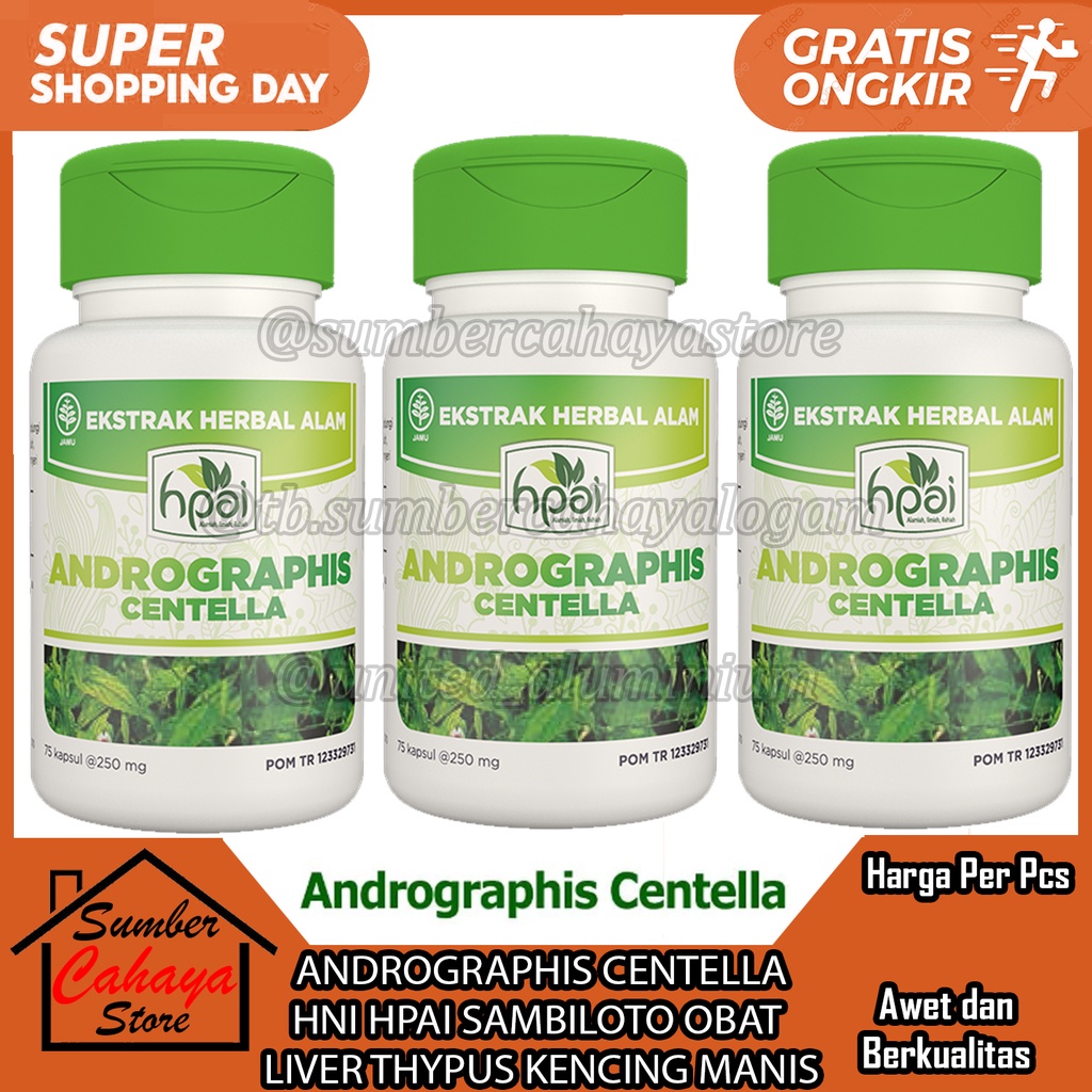 ANDROGRAPHIS CENTELLA 250 GRAM HNI HPAI KAPSUL SAMBILOTO OBAT LIVER THYPUS KENCING MANIS TBC PARU KE
