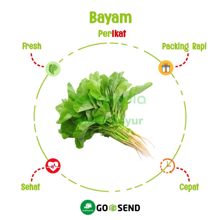 

BAYAM PER IKAT / SPINACH / FRESH VEGETABLE / SAYUR SEGAR - 1 Ikat