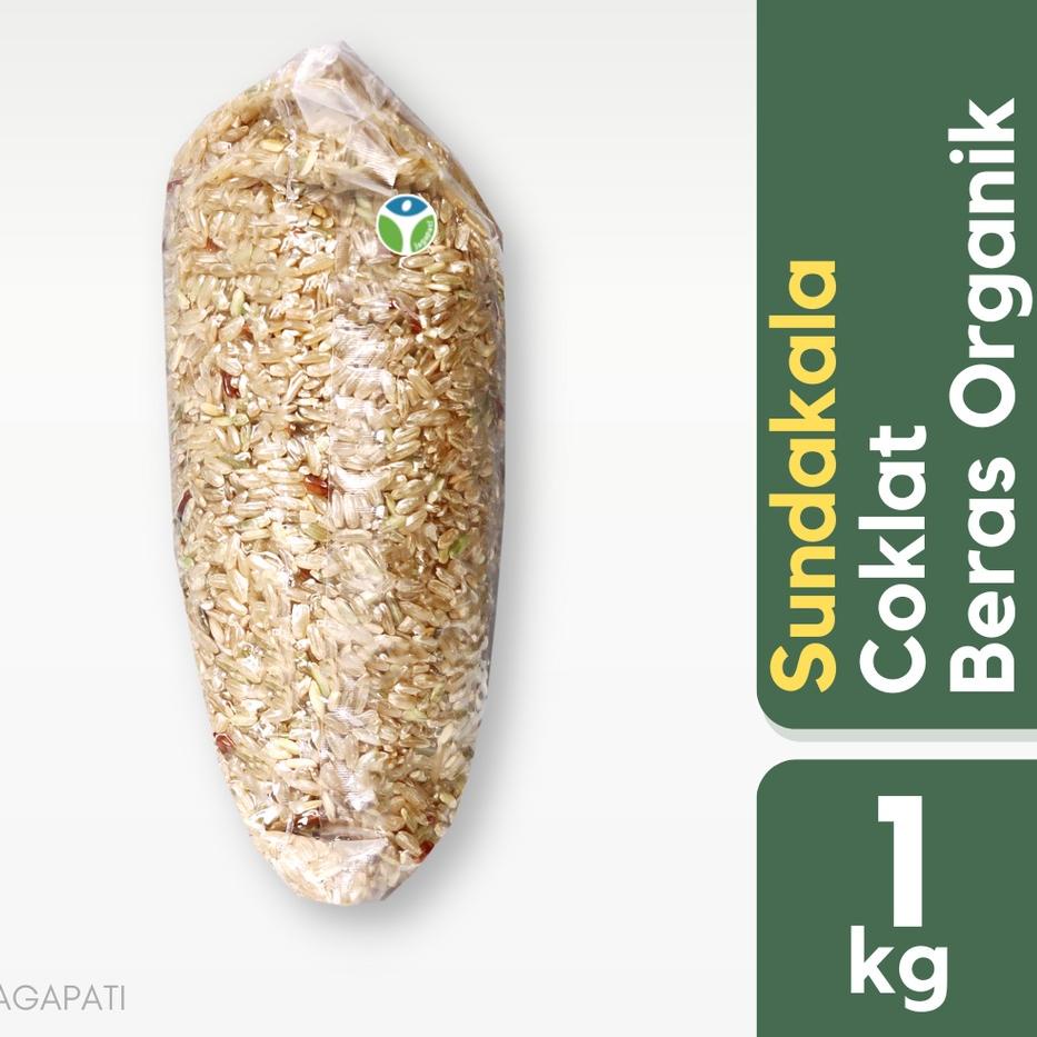 

Terbaru 3.3 Beras Coklat Organik - Sundakala - 1kg - Bogor - Jagapati
