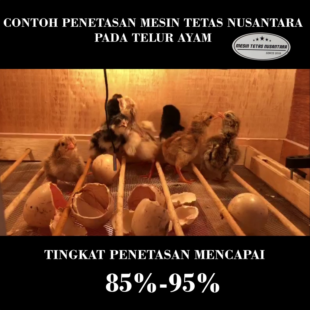 NUSANTARA Mesin Tetas Full Otomatis Kap. 25 Butir Telur Rak Roller Penetas Telur Otomatis