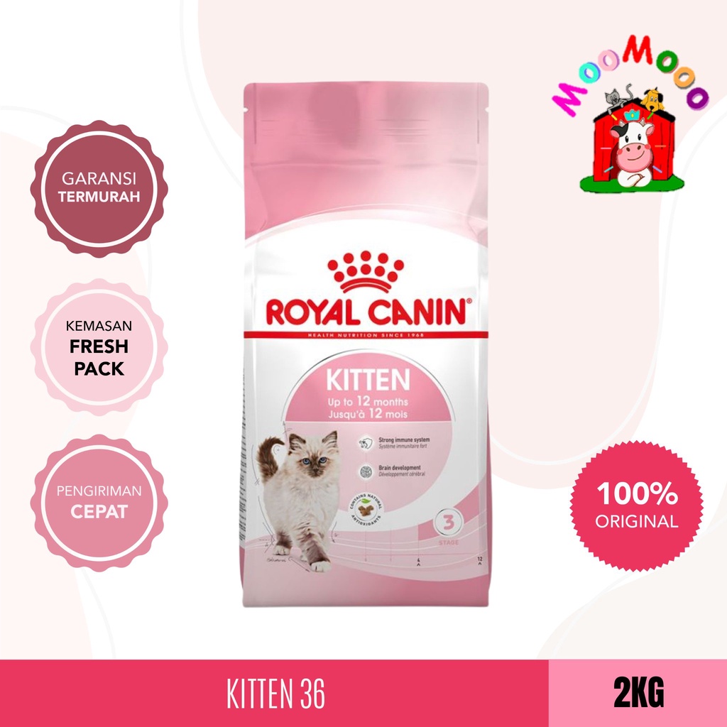 Royal Canin Kitten 36 2Kg - Makanan Kucing / Cat Food Makanan Kitten