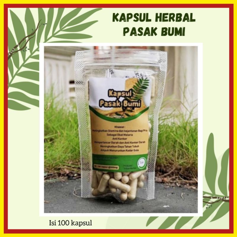 Jual Jamu Herbal Kapsul Pasak Bumi Jamu Kuat Pria Tahan Lama Obat Kuat