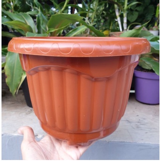 Pot Shallom Mio 25 Putih Hitam Merah BataTerracota Terracotta Merah Coklat Pot Bunga Plastik Tebal Murah Besar Kuat Motif Model Belimbing 30 cm Putih Hitam Selusin Lusinan Tebal - SHALLOM MIO 30 pot bunga bulat besar tebal murah