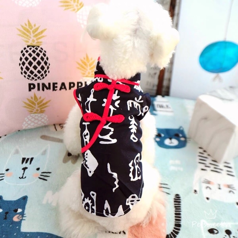 Fujian china top