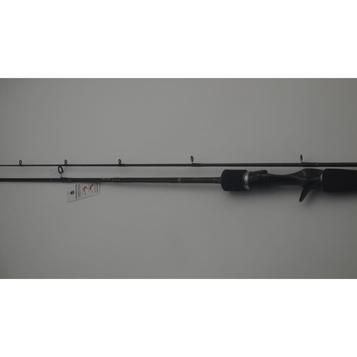 Joran Bait Casting Exori Arcadia BC 602 Fuji Ring