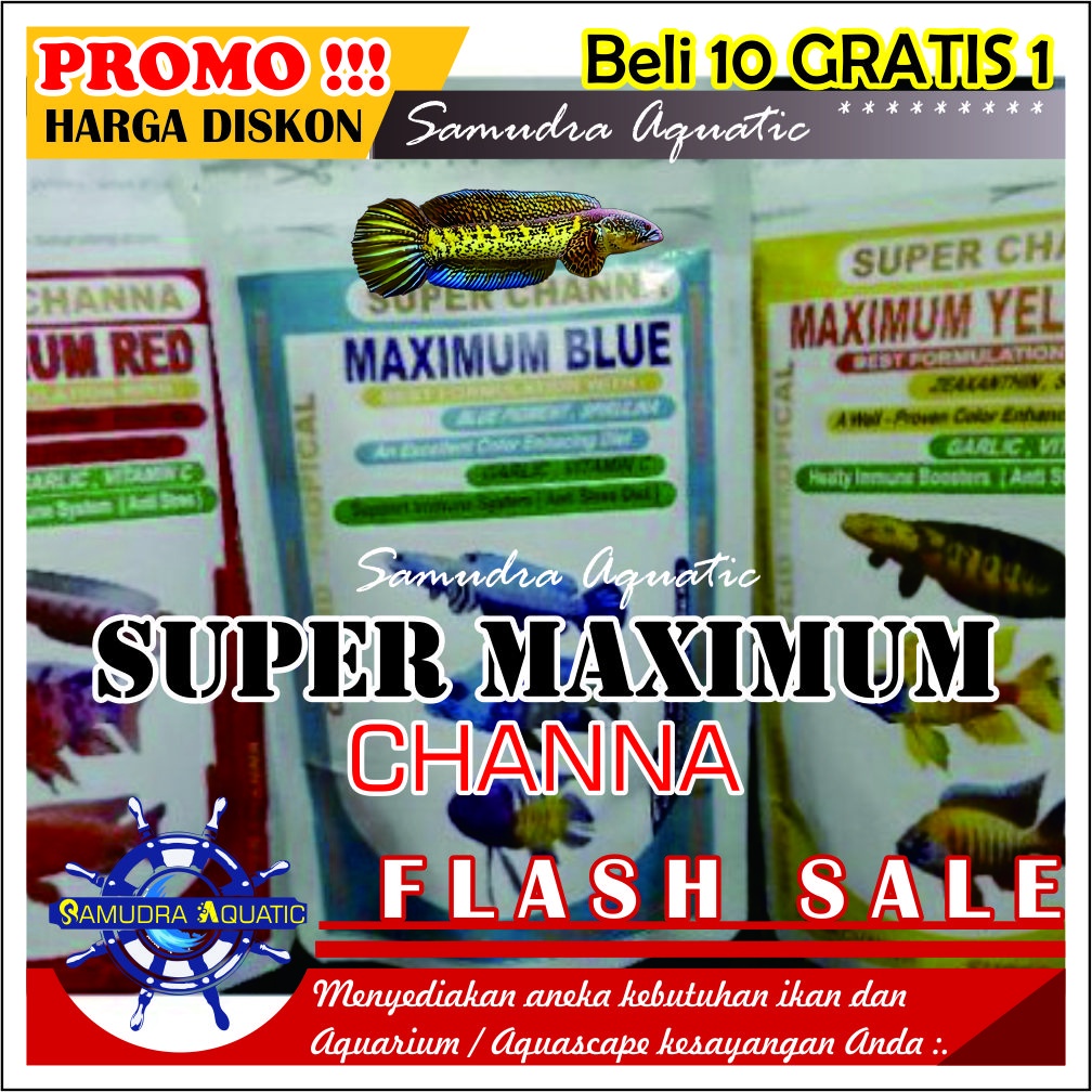 SUPER MAXIMUS Chana, Premium Blue, Premium Yellow, Premium Red, Pelet Ikan Chana | Pakan Warna Chana | Cana | Channa | Pakan Ikan Predator