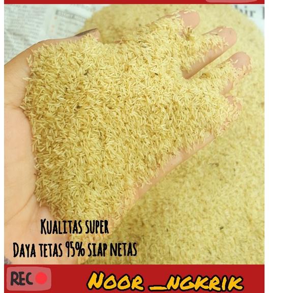 

⇼ [SIAP COD] TELUR JANGKRIK ALAM BERKWALITAS 1KG ㅼ