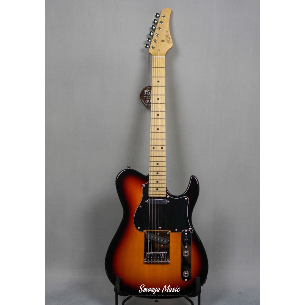 Fujigen BIL2M-3TS