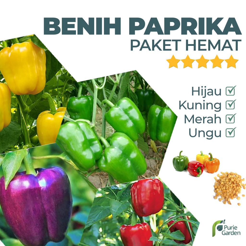 Paket Bibit Benih Paprika Hijau Ungu Kuning Merah PG KDR