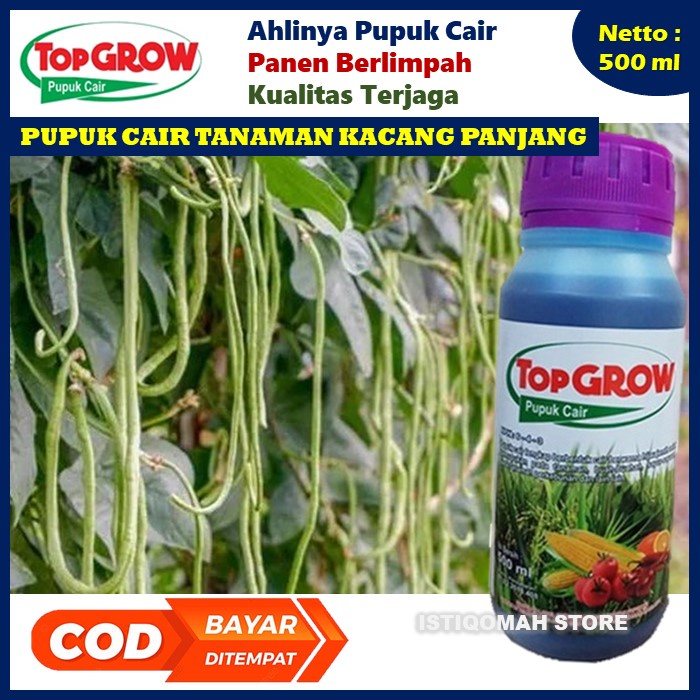 Pupuk Pelebat Bunga Dan Buah Kacang TOP GROW 500ML  Pupuk NPK Cair untuk Mempercepat Pertumbuhan Tanaman, Meningkatkan Kualitas dan Kuantitas Tanaman Sehingga Menghasilkan Buah Kacang Panjang yang Maksimal Bagus Murah