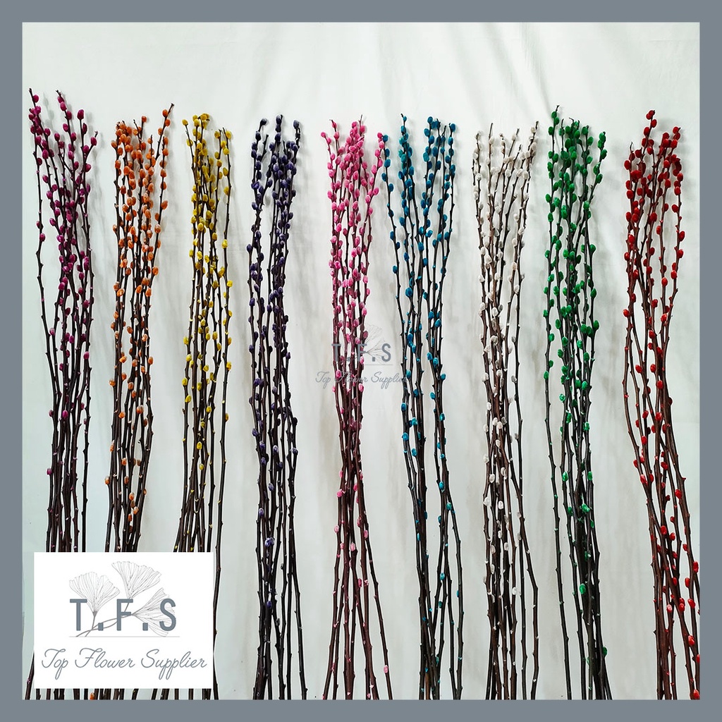 (9pcs) Dried Pussy Willow Bunga Imlek 2023 Dekorasi Happy Chinese New Year Decoration CNY Bunga Keri