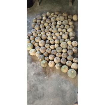 

[S-X6X-♫♪] Buah Kawista | Kawis Lasem Rembang | ±1kg | READY STOCK_murah