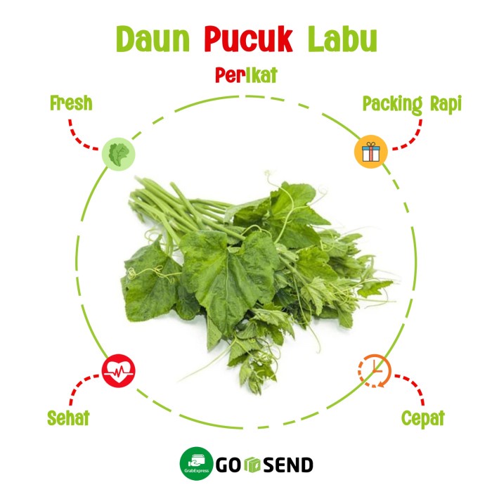 

DAUN PUCUK LABU / FRESH VEGETABLE