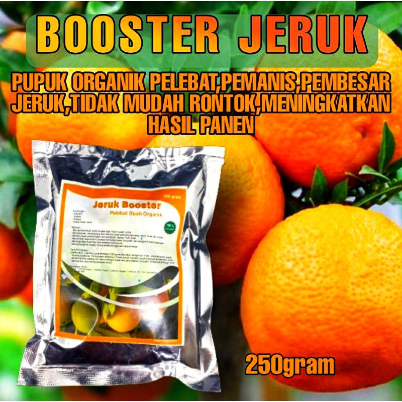 PUPUK BOOSTER BUAH JERUK - PELEBAT BUAH JERUK