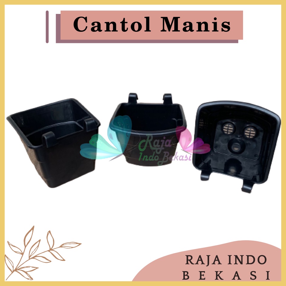 Pot Dinding Tempel Cantol TIP Manis Hitam - Pot Dinding Tempel Mini Murah Unik Pot Tempel Vertical Garden Pot Argo Mini