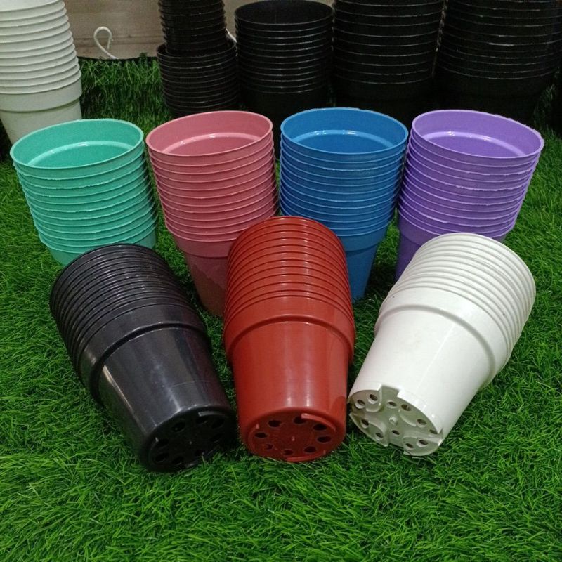 Jual Pot Tinggi Srondol Lusin Pcs Shopee Indonesia