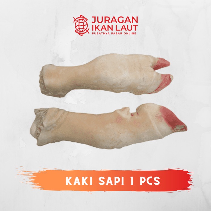 Kaki Sapi Utuh Segar Berkualitas - 1 Pcs