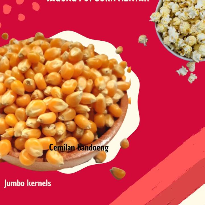 

[PRODUK PJ70K] Jagung Popcorn Non GMO Mentah Butterfly 1kg EXP JUNI 2024 M7C