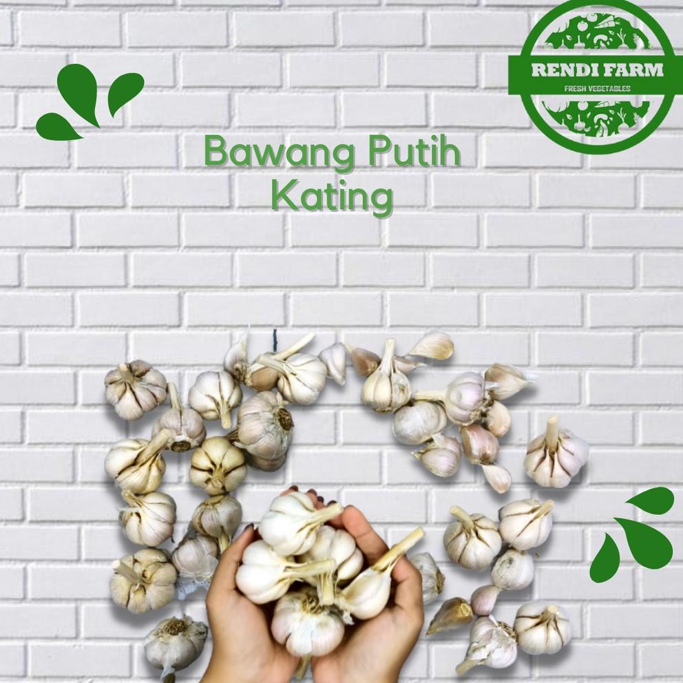 

BEST SELLER SAYUR SEGAR - BAWANG PUTIH KATING/ BAWANG PUTIH KATING SEGAR/ SAYUR SEGAR 500 GR 860